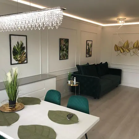 Oliva Enjoy The Harmony *